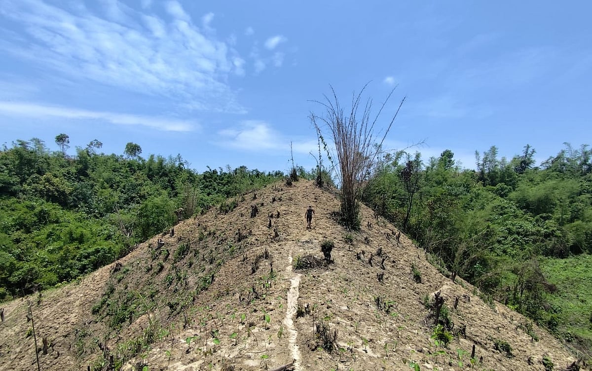 খাগড়াছড়ির মাটিরাঙ্গা উপজেলার বেলছড়ি ইউনিয়নের পিটাছড়া বনসংলগ্ন পাহাড়ে গাছপালা পুড়িয়ে চলছে কচুর মুখি চাষ