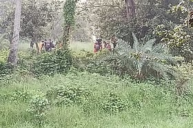চাঁপাইনবাবগঞ্জের সীমান্তে ২৮ জনকে ঠেলে পাঠানো ঠেকাল বিজিবি, নো ম্যান্স …