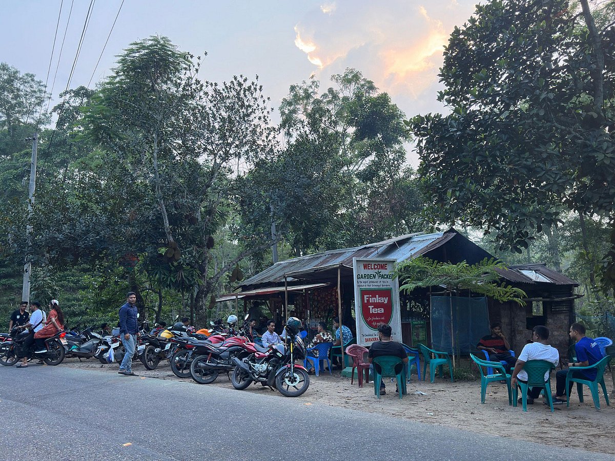 প্রতিদিন অনেক মানুষ এই চায়ের দোকানে আসেন চা পানের পাশাপাশি প্রকৃতির কাছাকাছি কিছুটা সময় কাটাতে। বৃহস্পতিবার বিকেলে মৌলভীবাজারের শ্রীমঙ্গল উপজেলার ভাড়াউড়া চা-বাগানসংলগ্ন শ্রীমঙ্গল-কমলগঞ্জ সড়কের পাশে