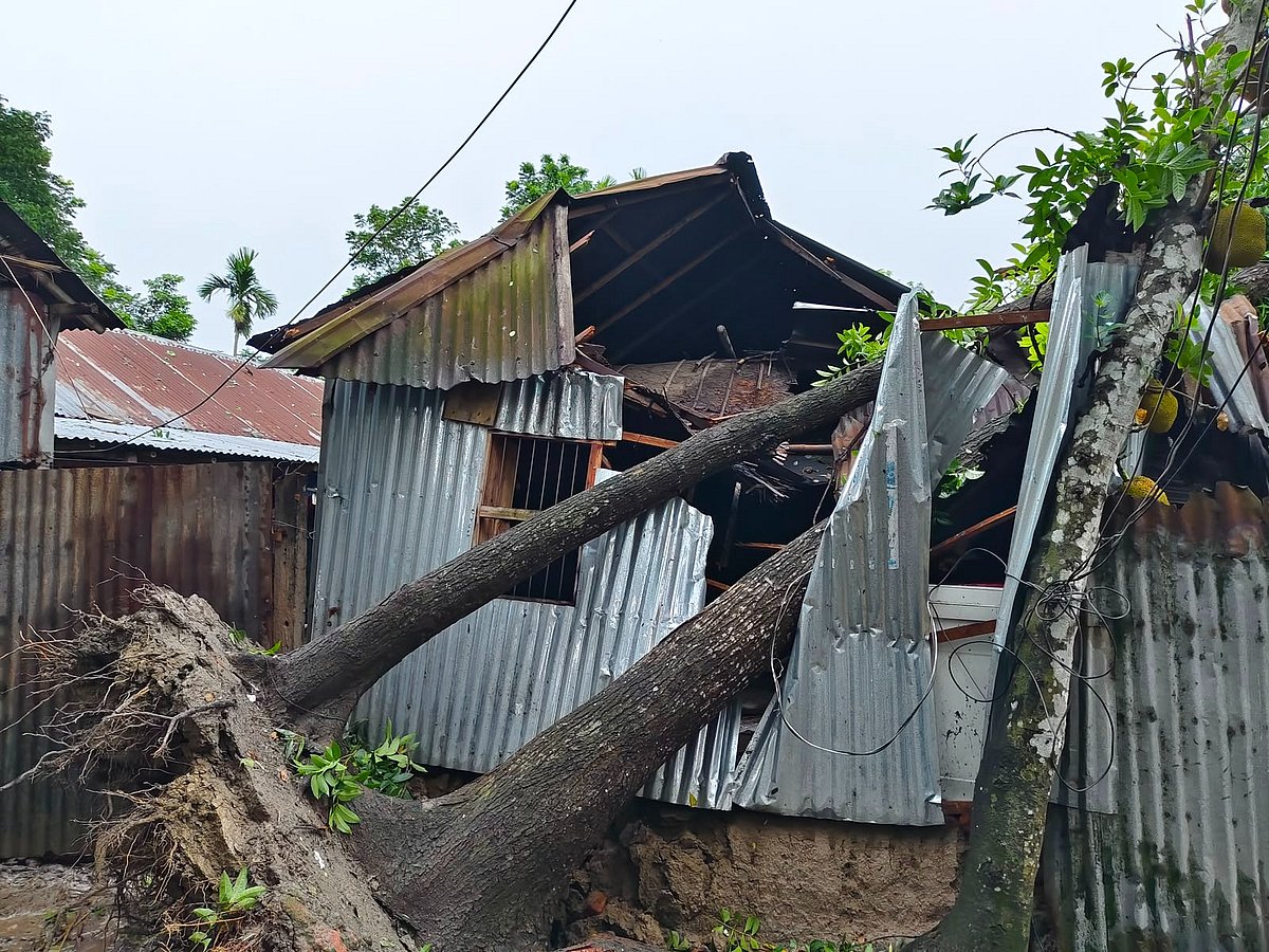 ঝড়ে গাছ উপড়ে পড়ে ঘরবাড়ি ক্ষতিগ্রস্ত হয়েছে। আজ মঙ্গলবার বিকেলে কুষ্টিয়ার খোকসা উপজেলার গোপকগ্রামে