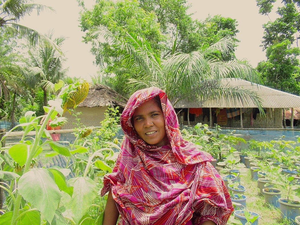 খুলনার কয়রায় নিজের হাইড্রোপনিকস বাগানে মাকসুদা খাতুন। জলবায়ু-সহনশীল কৃষিপ্রযুক্তি তাঁকে জীবিকা উন্নয়ন ও মেয়ের ভবিষ্যৎ গড়ার নতুন আশা দিয়েছে।