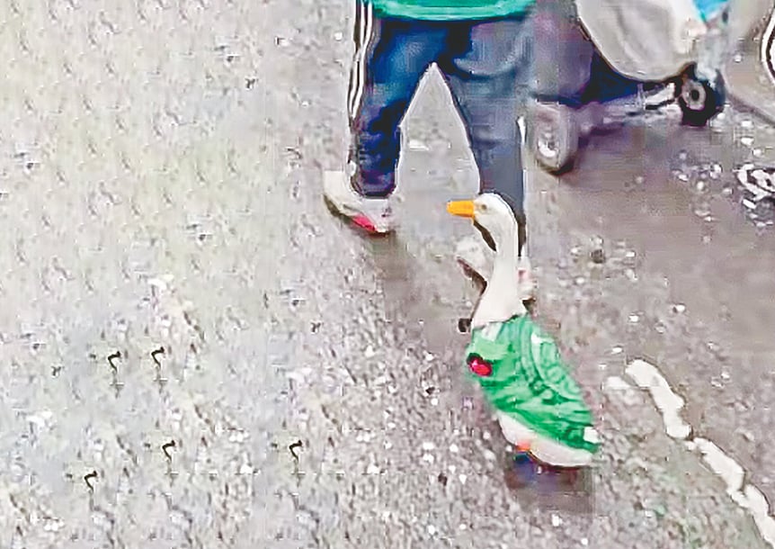 মেক্সিকোর জার্সি পরা একটি হাঁস হেঁটে যাচ্ছে