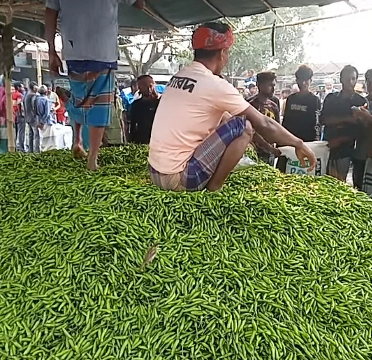জয়পুরহাটে এক দিনে কাঁচা মরিচের দাম বেড়ে প্রায় দ্বিগুণ, কৃষকের স্বস্তি