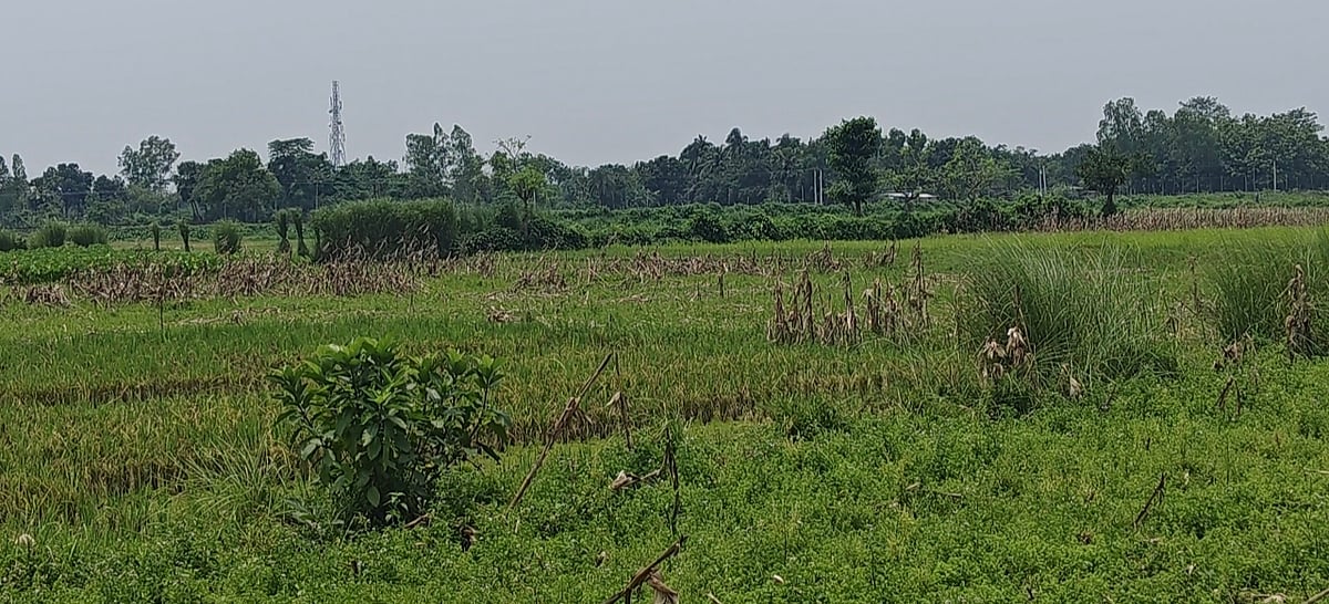 জয়পুরহাট সীমান্তে ঠেলে পাঠানোর চেষ্টা করা বৃদ্ধকে সরিয়ে নিয়েছে বিএসএফ