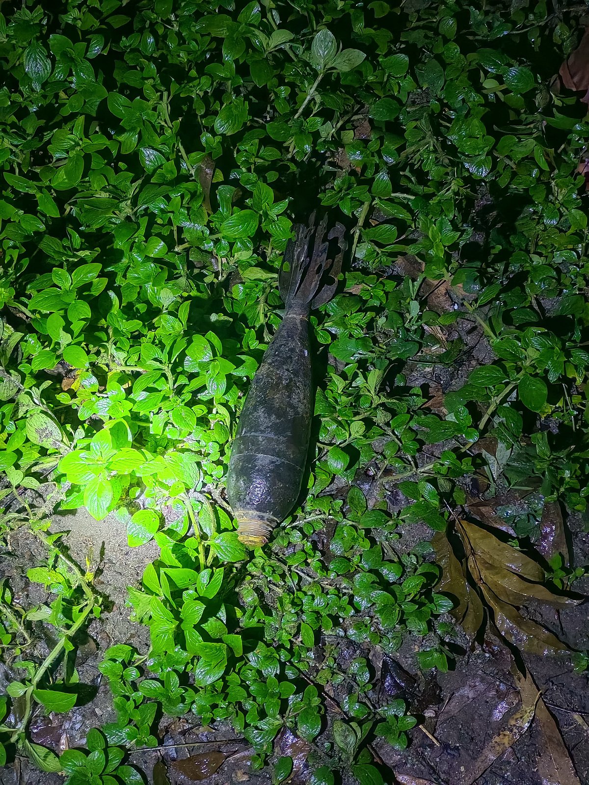 পঞ্চগড়ে নদীতে বালু-পাথর তোলার সময় মিলল মর্টার শেল, উদ্ধার করল পুলিশ