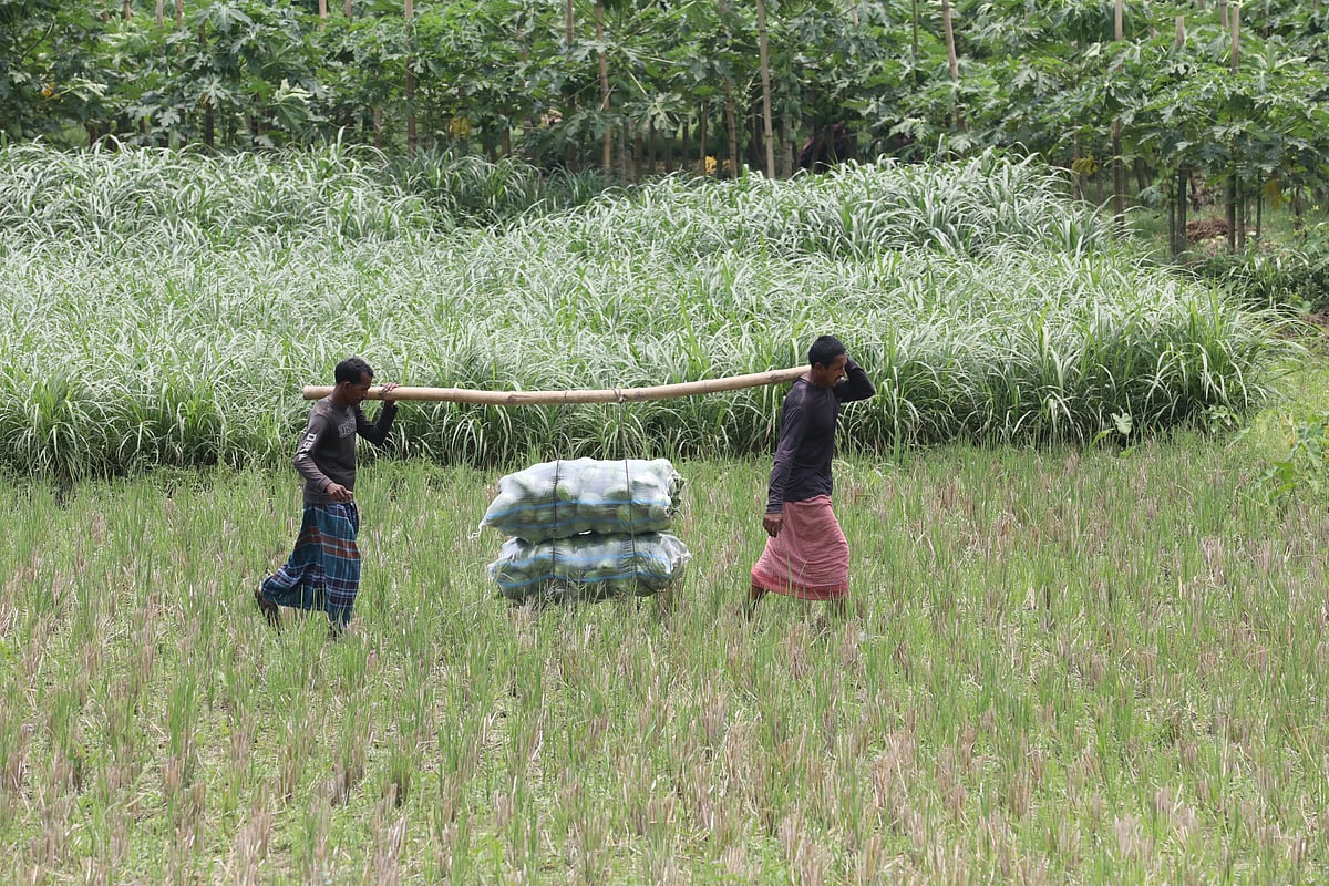 গ্রামগুলোকে মূলধারায় সম্পৃক্ত করতে হবে