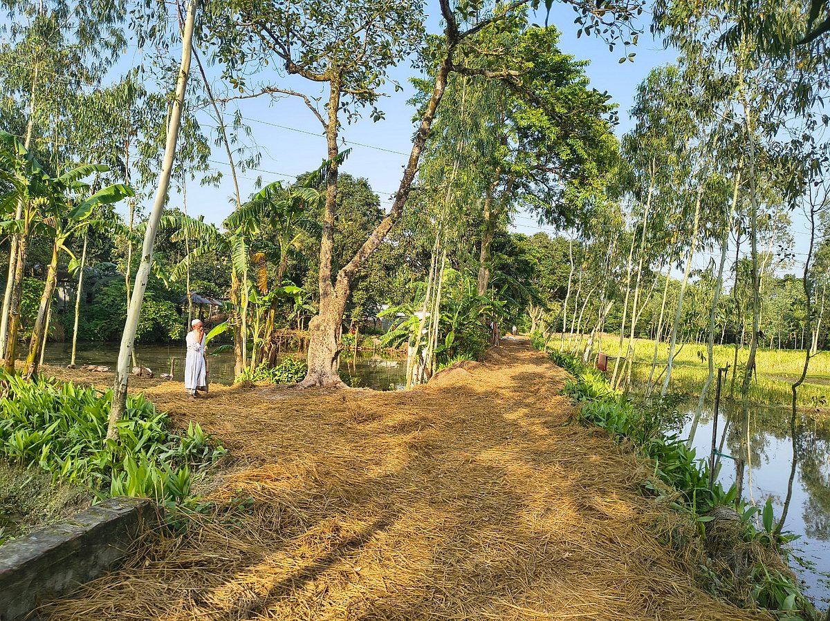তাপপ্রবাহের কুড়িগ্রামে শীতল এক গ্রাম শিতলীরপাঠ