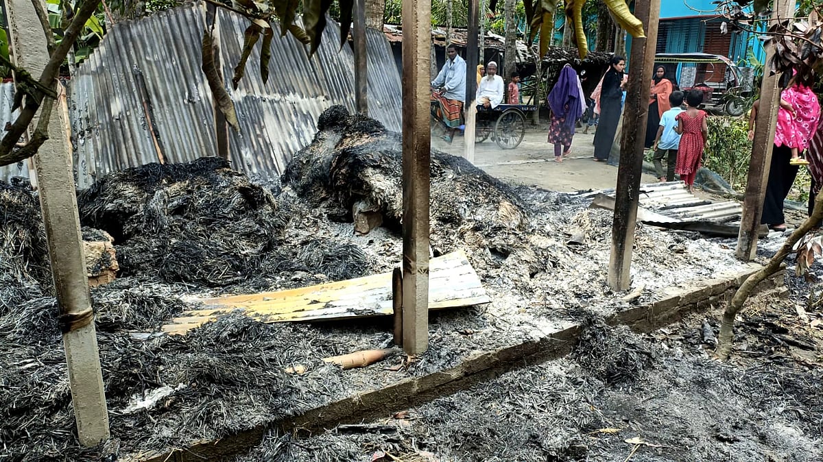 জামিন বিশ্বাসের মৃত্যুর খবর এলাকায় ছড়িয়ে পড়লে রাতেই প্রতিপক্ষের বেশ কয়েকটি বাড়িঘরে ভাঙচুর ও অগ্নিসংযোগ করা হয়। রাজবাড়ীর পাংশা উপজেলার কশবামাজাইল ইউনিয়নের দড়িবাংলাট গ্রামে