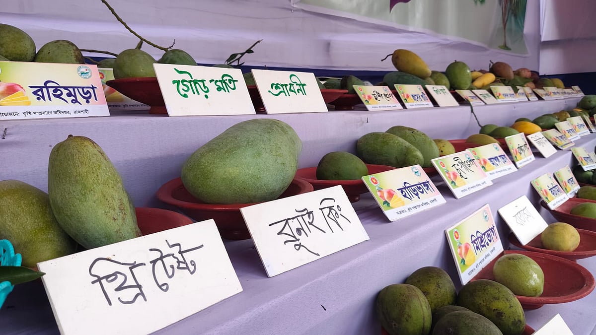 বউ-ভোলানো থেকে ইঁদুরচাটা, রাজশাহীতে মেলায় ৬৭ জাতের আম