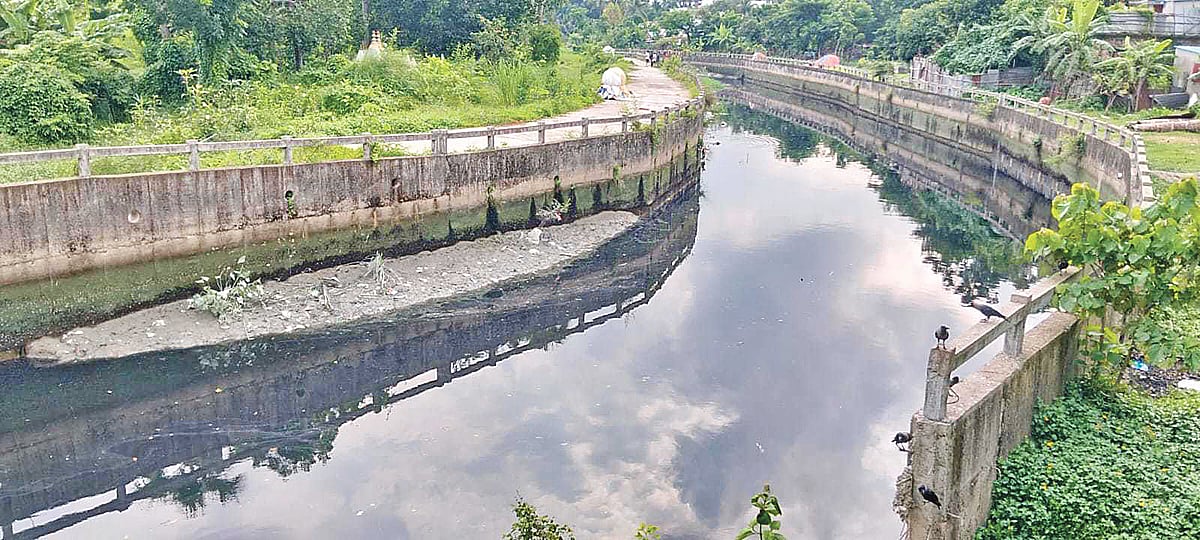 হালদার মাছে ক্ষুদ্র প্লাস্টিক কণা, বাড়ছে শঙ্কা 