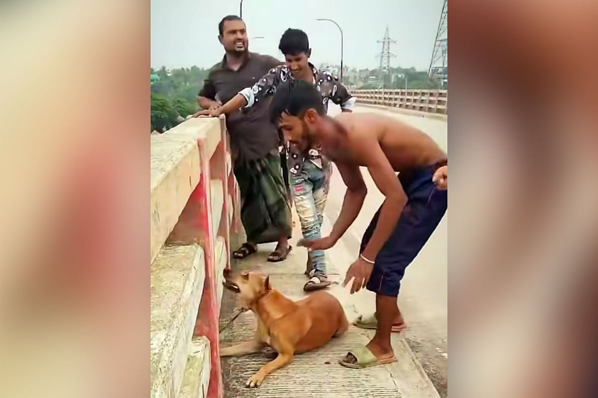 নরসিংদী শহরের নাগরিয়াকান্দি সেতু থেকে কুকুরের গলায় ইট বেঁধে গতকাল বুধবার বেলা সাড়ে ১১টার দিকে নদীতে ফেলে দেওয়া হয়