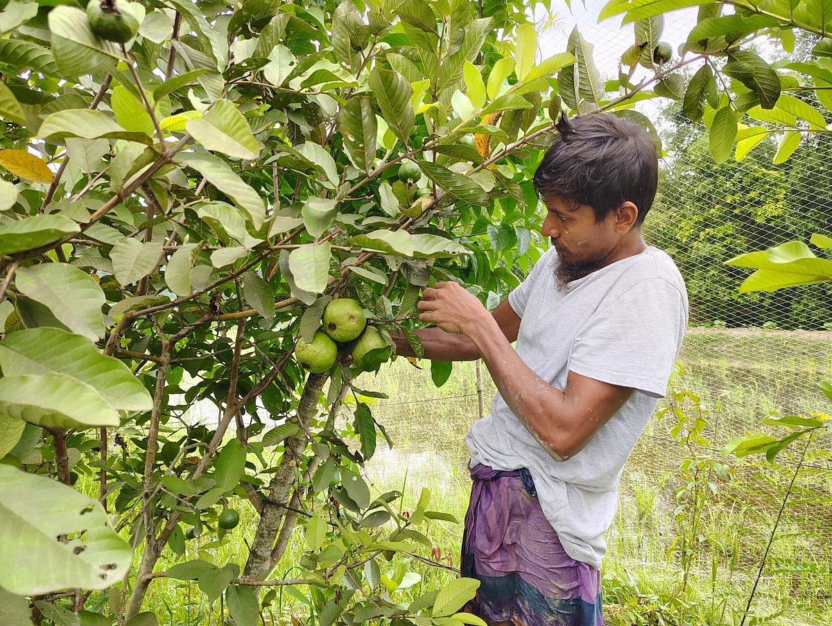 করোনায় খুইয়েছিলেন চাকরি, গ্রামে ফিরে নাজমুলের ভাগ্যবদল