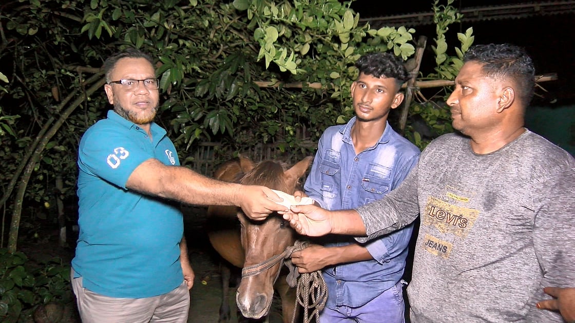 প্রধানমন্ত্রী তারেক রহমানের পক্ষ থেকে সোহানের কাছে আর্থিক সহায়তা ও উপহারসামগ্রী তুলে দেন সাতক্ষীরা জেলা যুবদলের সাবেক প্রধান সমন্বয়ক আইনুল ইসলাম। গত মঙ্গলবার রাত সাড়ে আটটার দিকে সাতক্ষীরার কলারোয়া উপজেলার চান্দুড়িয়া গ্রামে