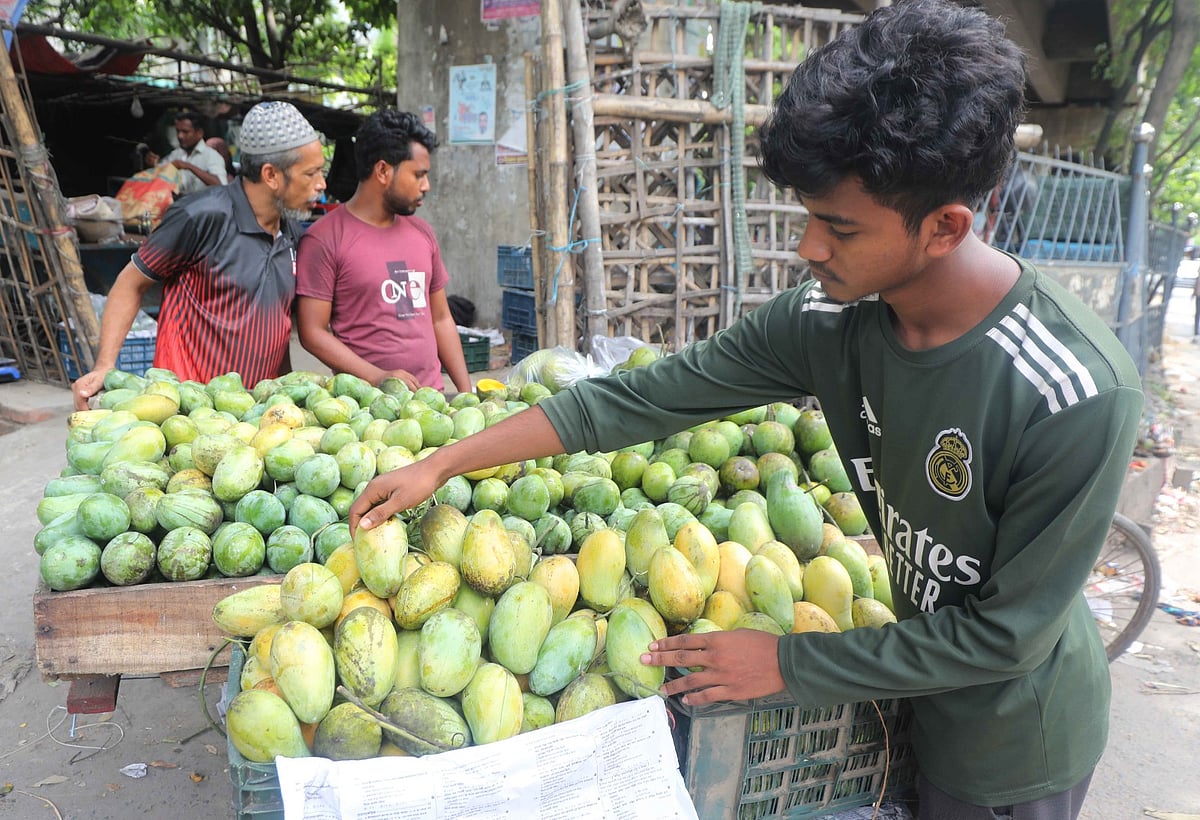 ভ্যানে বিক্রি করা হচ্ছে আম্রপালি। আকারভেদে প্রতি কেজি ৭০ থেকে ১২০ টাকা। গতকাল বেলা দেড়টায় চট্টগ্রাম নগরের ফলমন্ডিতে