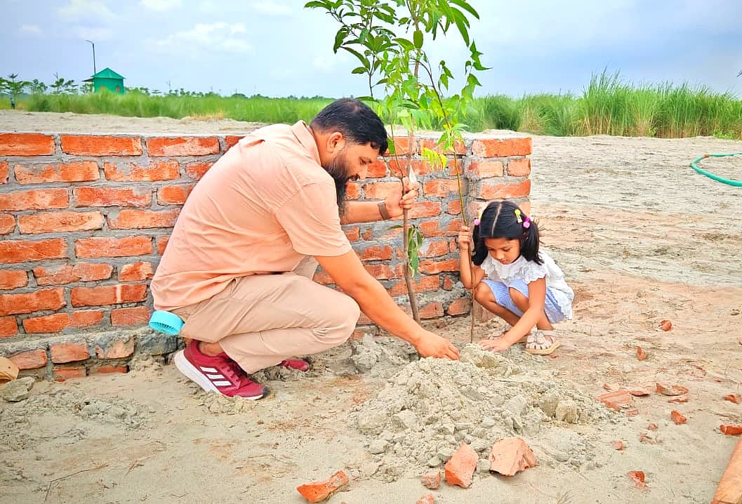 বাবা, মেয়ে আর একটি গাছের গল্প