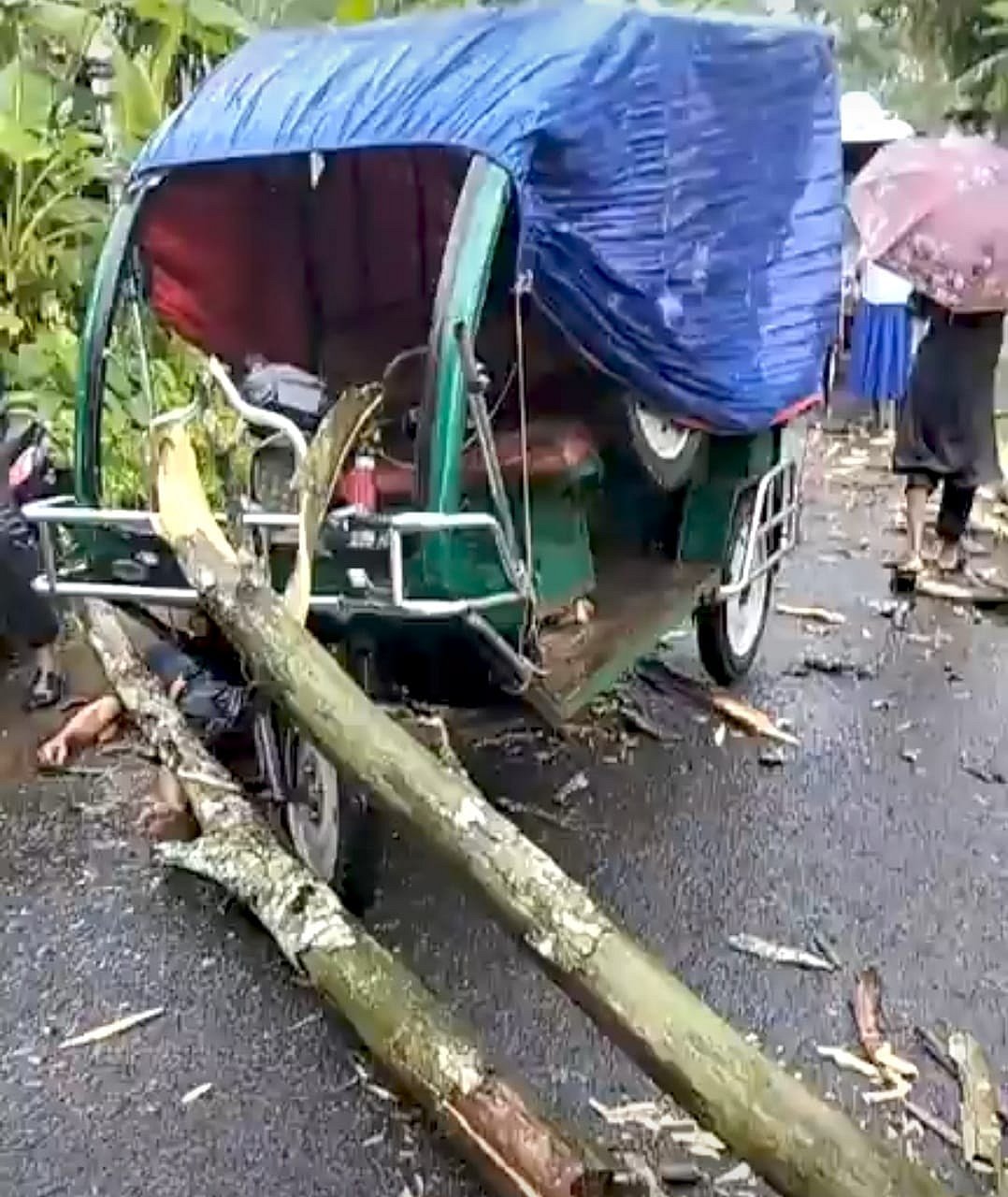 রংপুরের পীরগঞ্জ উপজেলার খালাশপীর- কাচদহ সড়কের টিউটমারী এলাকায় ব্যাটারিচালিত অটোরিকশার ওপর গাছ পরে চালক মারা গেছেন। বুধবার সকাল সাড়ে ১০টার দিকে
