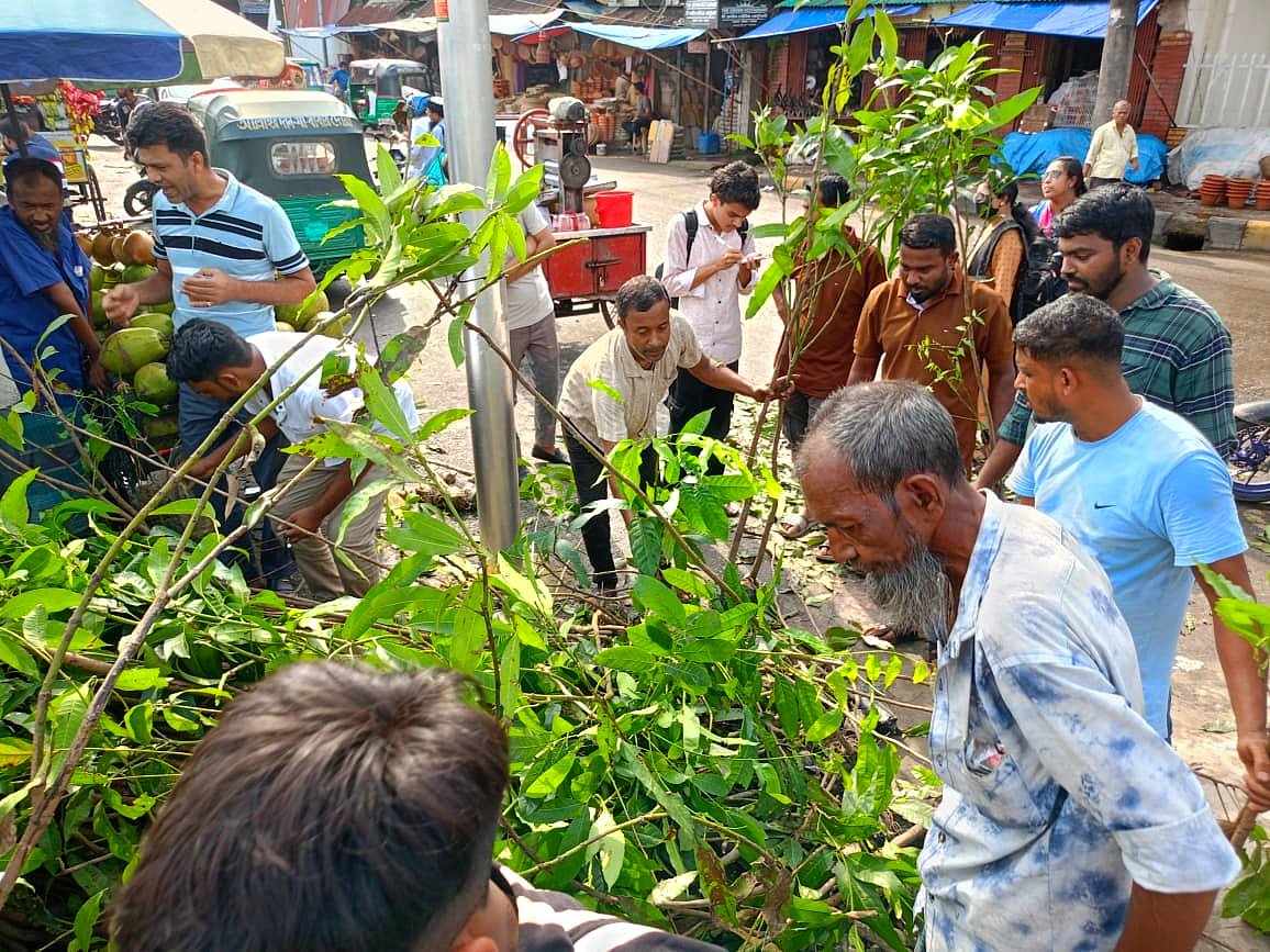 সিলেটে প্রথম আলো বন্ধুসভার বৃক্ষ উৎসব