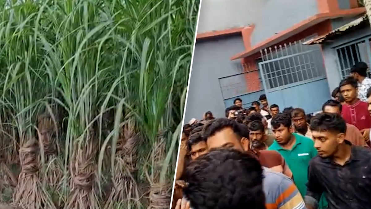 মাদ্রাসাছাত্রীকে ধর্ষণচেষ্টার অভিযোগ ভ্যানচালকের বিরুদ্ধে, মারধর করে পুলিশে সোপর্দ