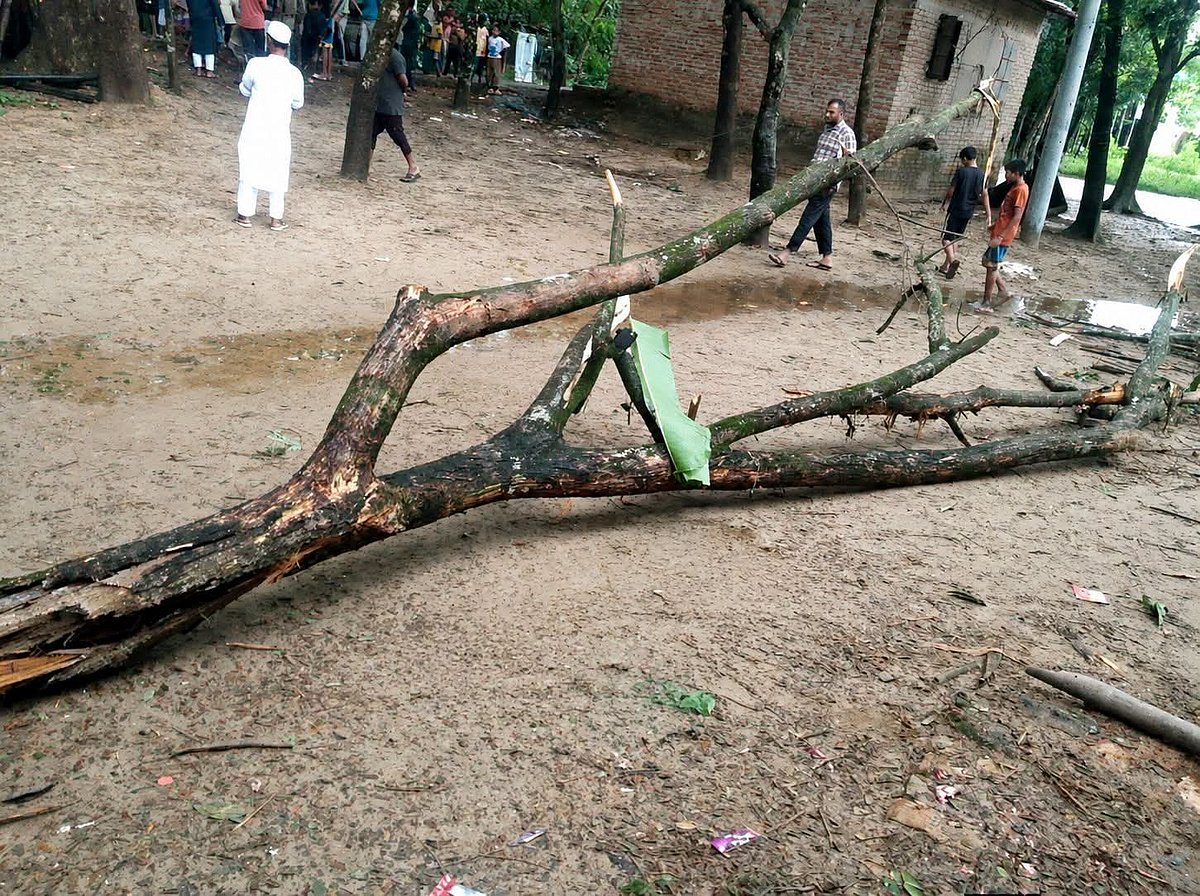 ঝোড়ো হাওয়ায় ডালটি আগে থেকেই ভেঙে গাছে ঝুলে ছিল। পরে এটি পড়েই নিচে থাকা শিশুর মৃত্যু হয়। আজ বেলা তিনটায় চট্টগ্রামের রাঙ্গুনিয়ার পারুয়া ইউনিয়নের উত্তর পারুয়া গ্রামে