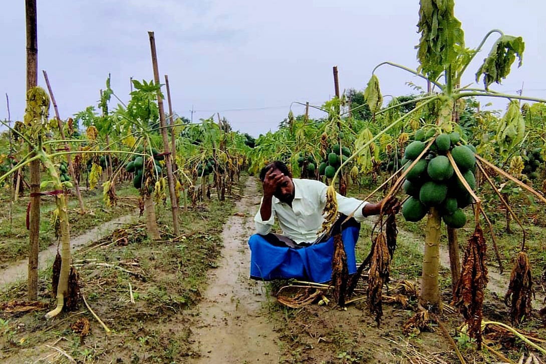 বন্যায় নষ্ট হওয়া পেঁপে বাগানে বসে আহাজারি করছেন কৃষক জয়নাল আবেদীন। গত মঙ্গলবার সকালে কক্সবাজারের রামু উপজেলার ফতেখাঁরকুল এলাকা থেকে তোলা