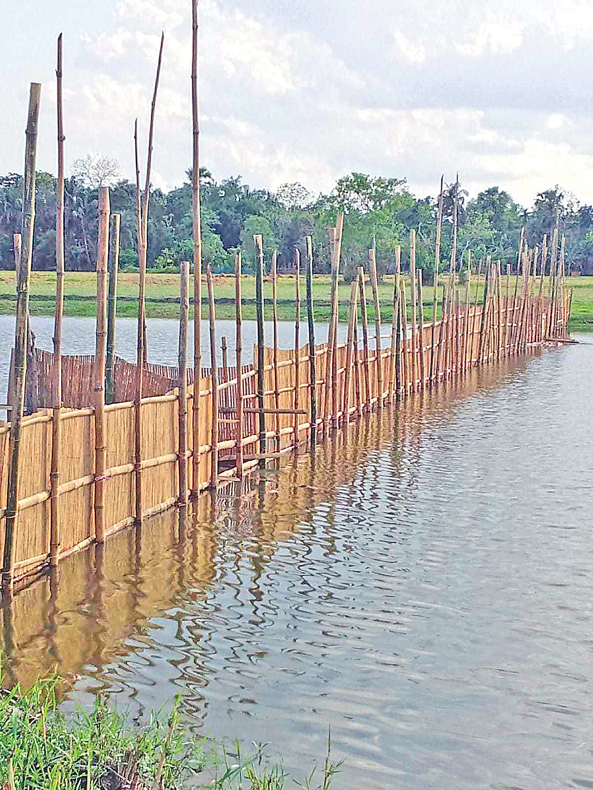খুলনার বটিয়াঘাটা উপজেলার গঙ্গারামপুর ইউনিয়নের আমতলা নদীতে ইজারাদারের দেওয়া নেটপাটা। সম্প্রতি তোলা ছবি