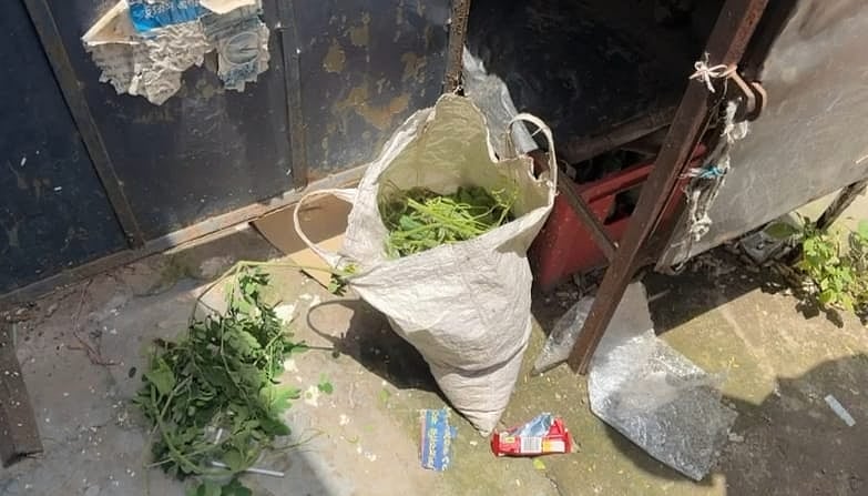 গাংনী পৌর শহরের বাসস্ট্যান্ড এলাকায় হানিফ পরিবহনের কাউন্টারের সামনে রাখা সবজিভর্তি একটি ব্যাগ পড়ে ছিল। আজ সোমবার