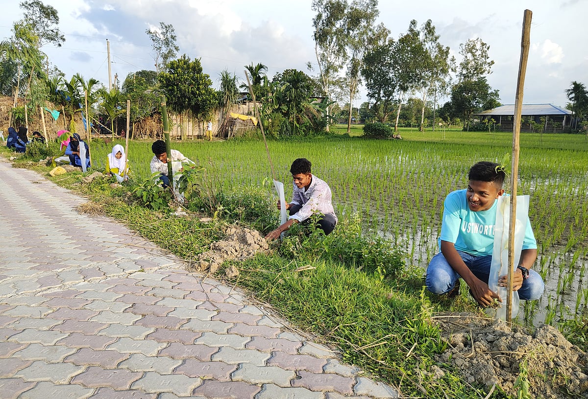 গাছ বড় হলে পথচারীরা ছায়ায় চলাচল করতে পারবে