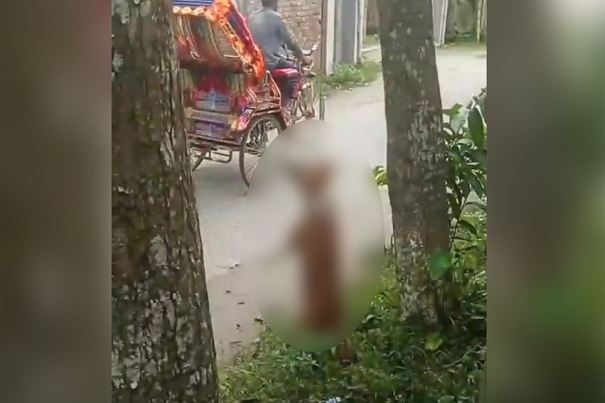 ছাগলকে কামড় দেওয়ায় গাছে ঝুলিয়ে কুকুর হত্যা, ভিডিও ভাইরাল