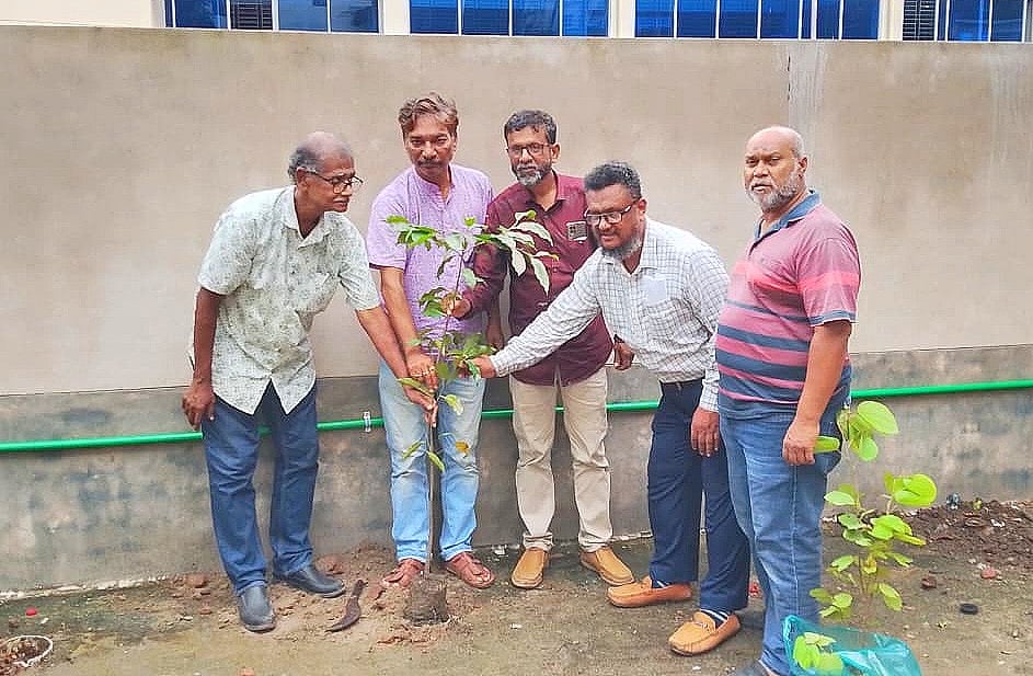 বৈশ্বিক এই উষ্ণায়নের সময়ে বৃক্ষরোপণ অন্যতম সেরা কাজ