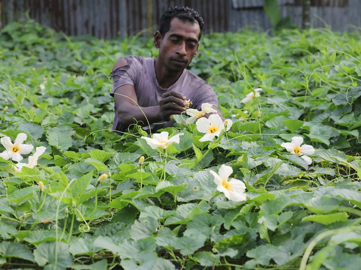 একঝলক (২ আগস্ট ২০২৬)