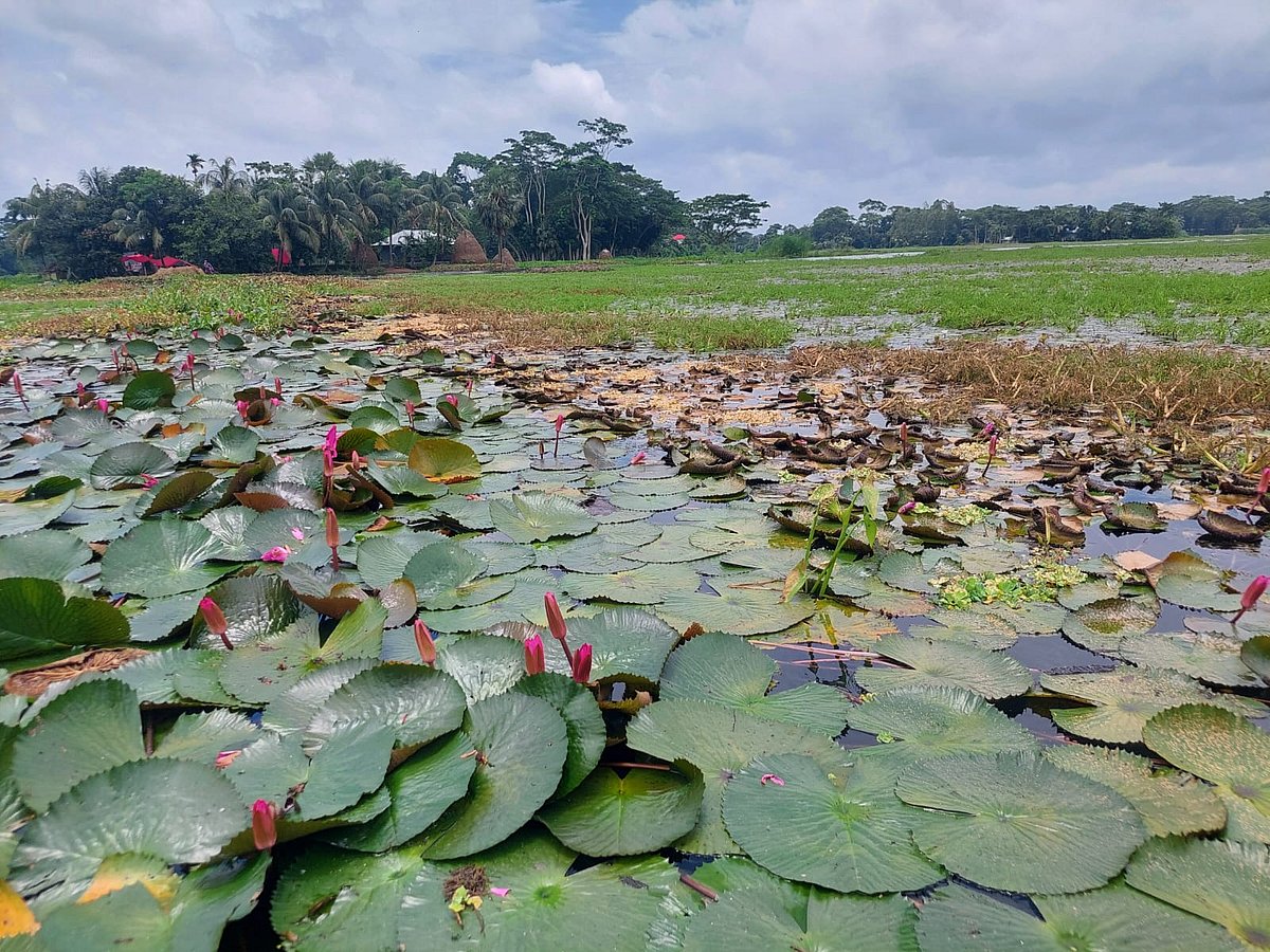 বর্ষা দেখতে বরিশাল গেলে যেসব জায়গায় অবশ্যই যাবেন