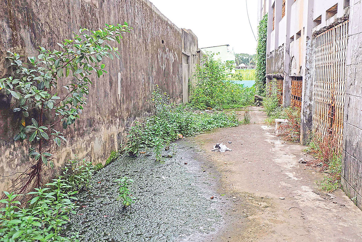 ২১টি সরকারি স্কুলে শিক্ষার্থী ৫০ বা তার কম, শিক্ষার্থী না থাকায় একটি বিলুপ্ত ঘোষণা