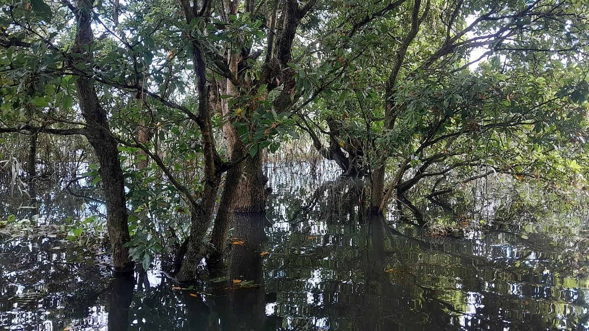 জলাবন লক্ষ্মীবাঁওড়ে এক দিন