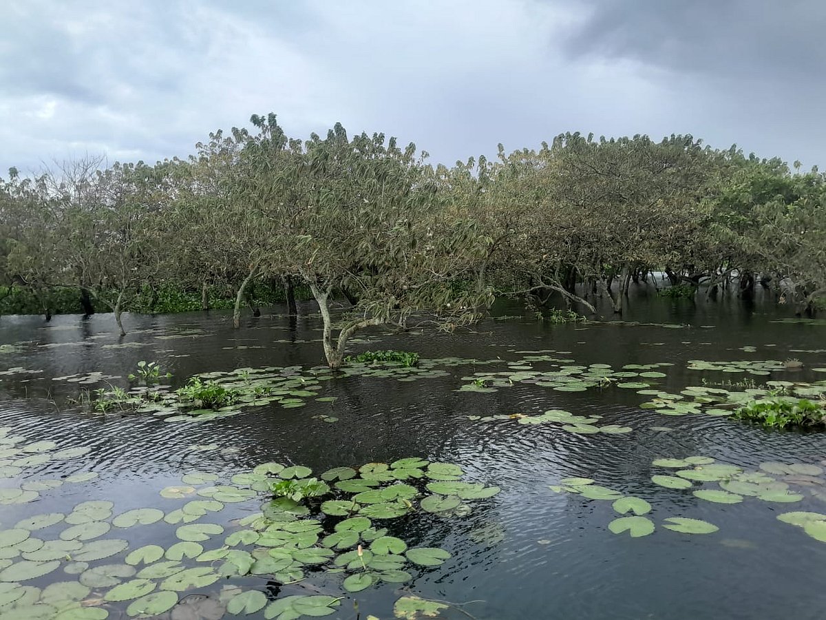 জলাবন লক্ষ্মীবাঁওড়ে এক দিন