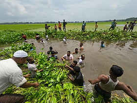জলাবদ্ধতা নিরসনে গলাপানিতে নেমে খালের কচুরিপানা পরিষ্কার করলেন এমপি