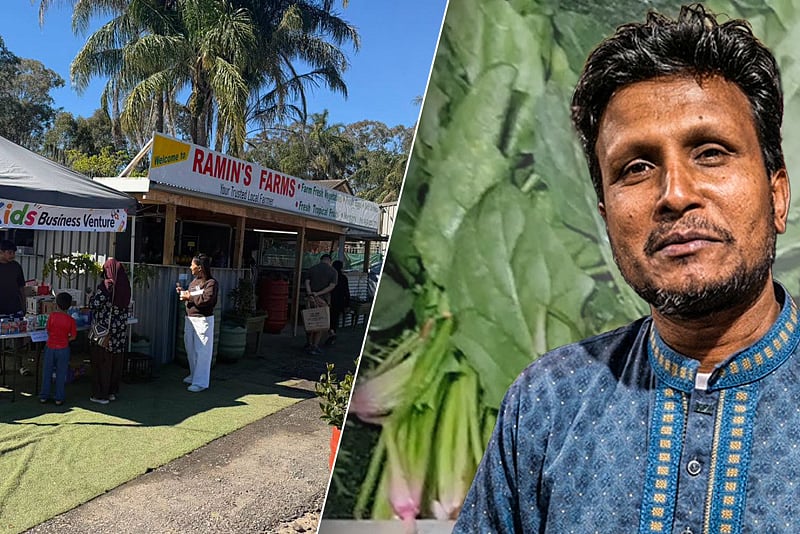 সিডনিতে বাংলাদেশির খামারে ফলছে লাউ ও কাঁঠাল, অস্ট্রেলিয়ায় দেশি সবজির দাম কত?