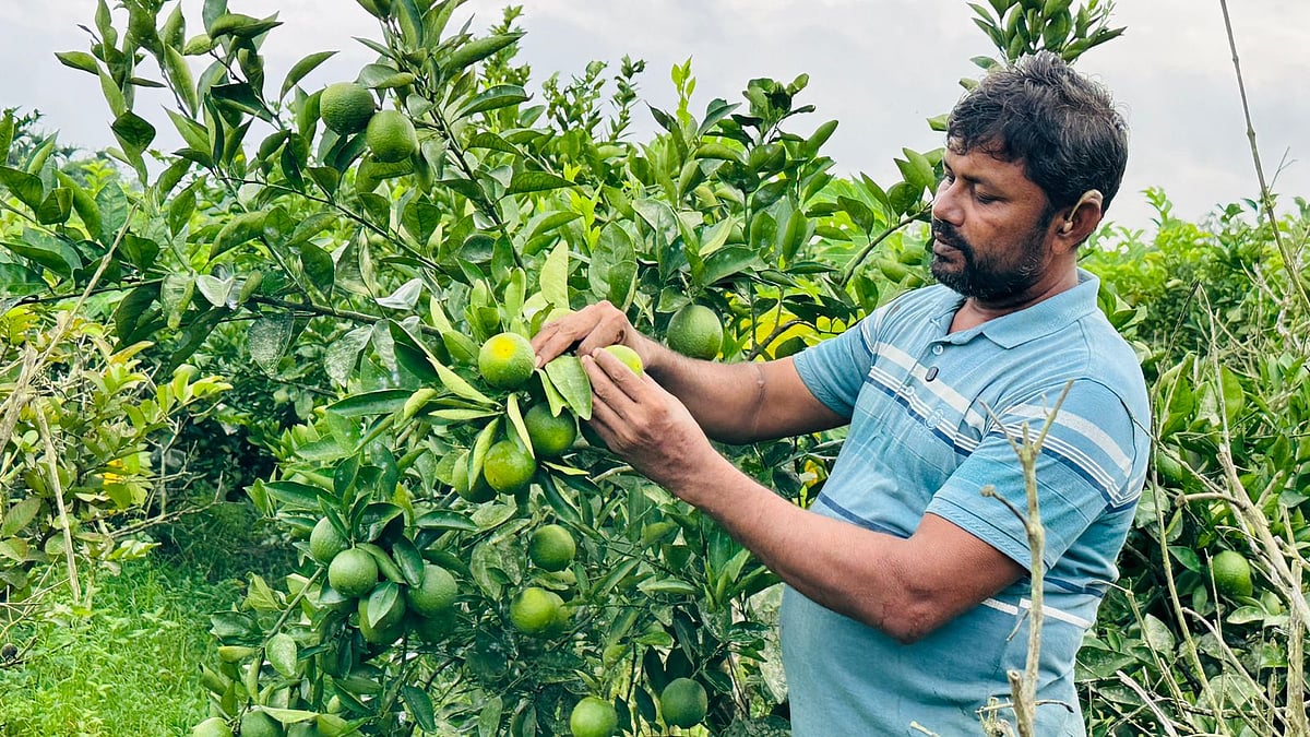 নিজের বাগানে জমির উদ্দিন। গত সোমবার তোলা