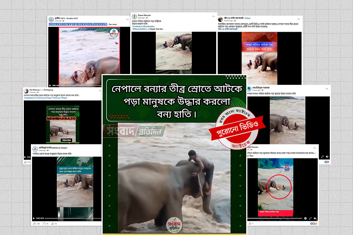 কোলাজ প্রথম আলো গ্রাফিক্স