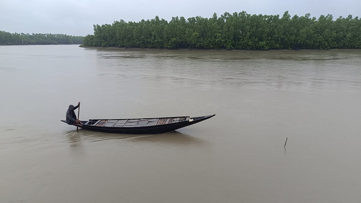 তিন মাসের নিষেধাজ্ঞা শেষে খুলেছে সুন্দরবনে প্রবেশের দ্বার। মঙ্গলবার সকালে বুড়িগোয়ালিনী ফরেস্ট স্টেশন ঘাটে