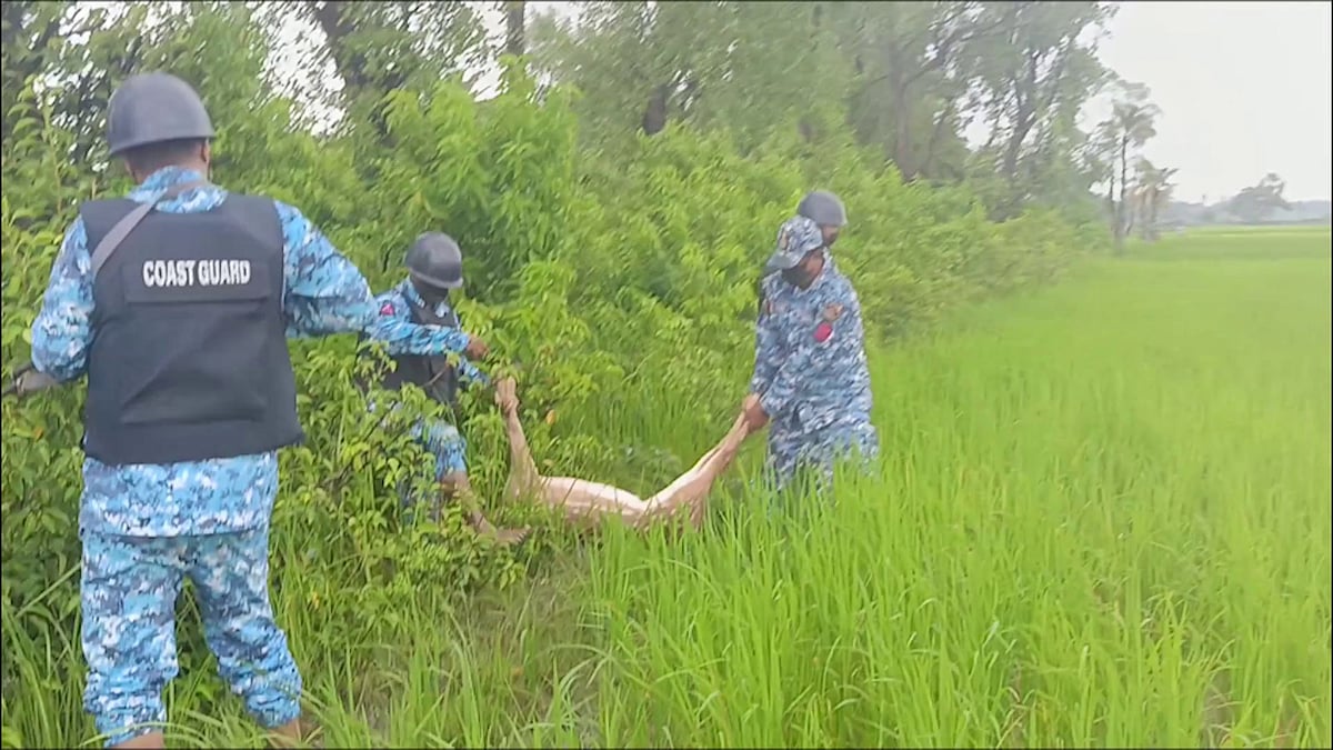 নোয়াখালীর হাতিয়ার চর আতাউরের বন থেকে হরিণটি উদ্ধার করে কোস্ট গার্ড। আজ সকালে