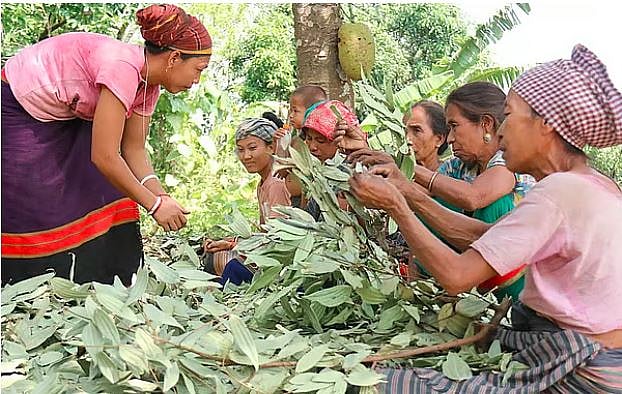 আন্তর্জাতিক আদিবাসী নারী দিবস কেন পালন করা দরকার