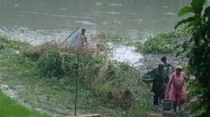 নাটোরের বারনই নদীতে মরে ভেসে ওঠা মাছ সংগ্রহ করছেন নদী পাড়ের মানুষজন। শনিবার দুপুরে নলডাঙ্গা এলাকা থেকে তোলা ছবি