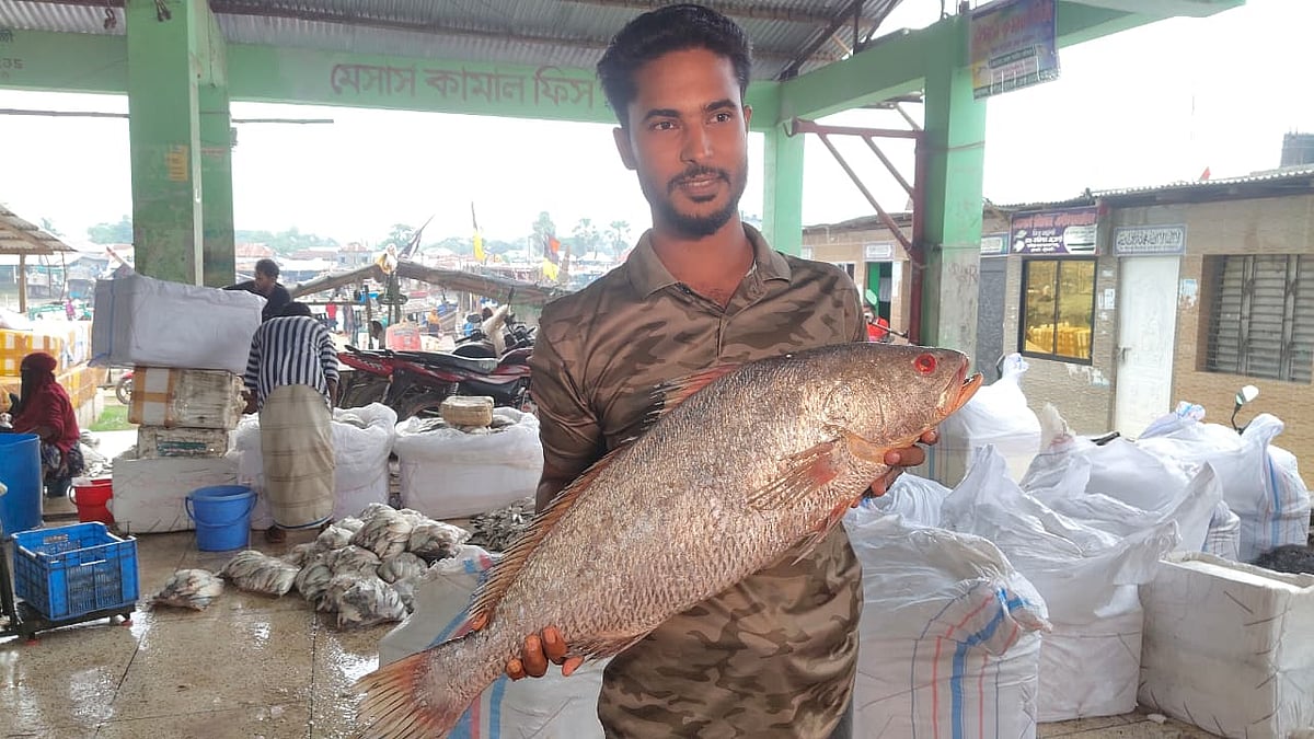 পটুয়াখালীর কুয়াকাটাসংলগ্ন বঙ্গোপসাগরে জেলের জালে আট কেজি ওজনের এই কালো পোয়া মাছটি ধরা পড়ে। আজ মঙ্গলবার দুপুরে পটুয়াখালীর কলাপাড়া উপজেলার আলীপুর মৎস্যবন্দরে