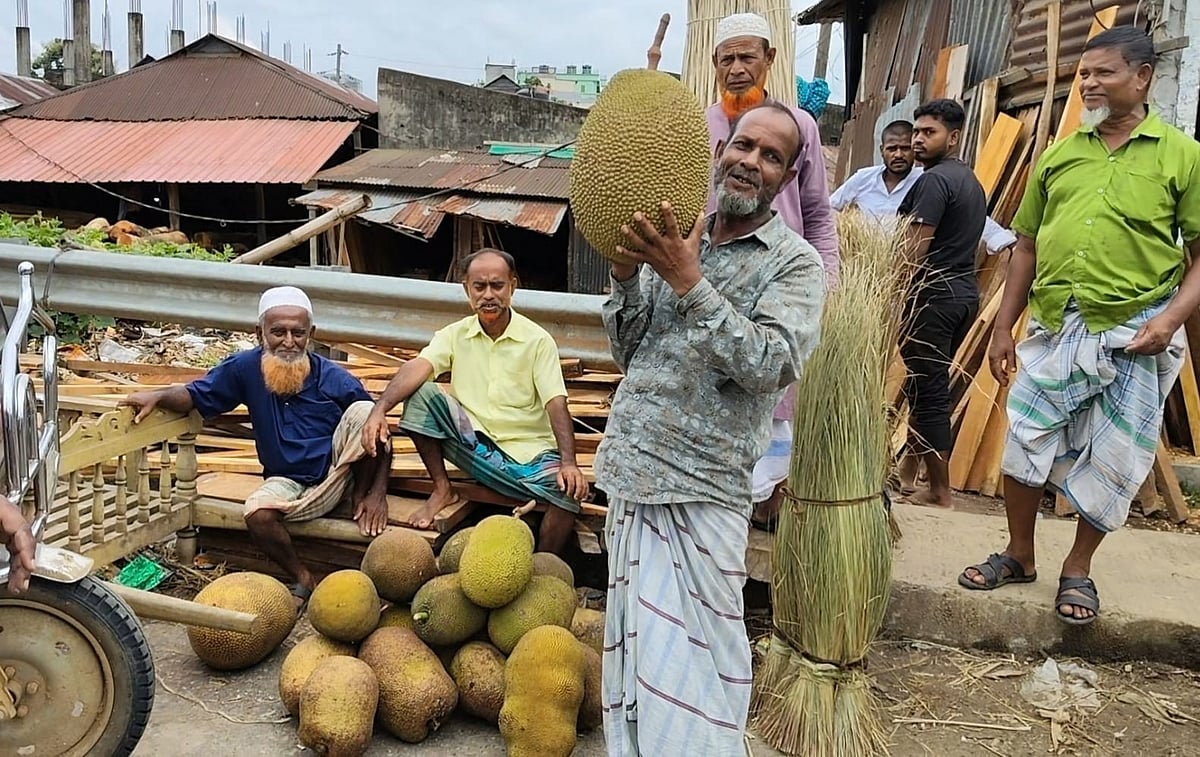 মৌসুমের শেষে বাজারে কাঁঠালের সরবরাহ কম। বড় আকারের কাঁঠালটির দাম হাঁকা হচ্ছে এক হাজার টাকা। আজ বুধবার দুপুরে গাজীপুরের শ্রীপুরের বরমী বাজারে