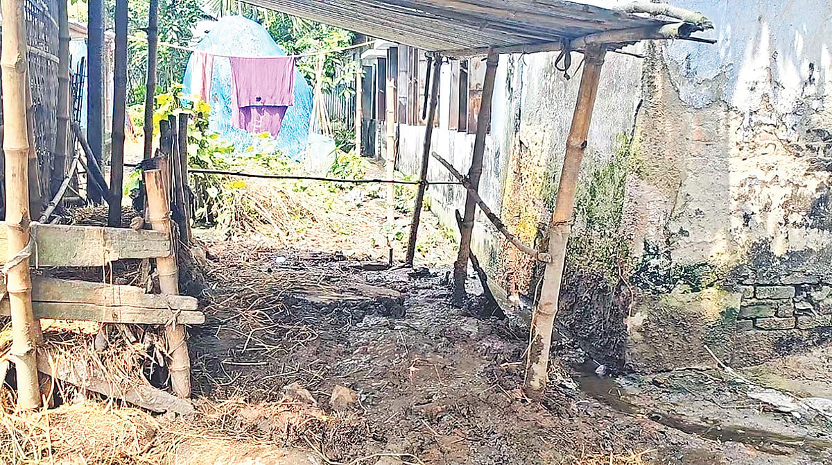 বিদ্যালয়ের ভবন ঘেঁষে গোয়ালঘর। গত মঙ্গলবার জামালপুরের মেলান্দহ উপজেলার নাংলা সরকারি প্রাথমিক বিদ্যালয়ে