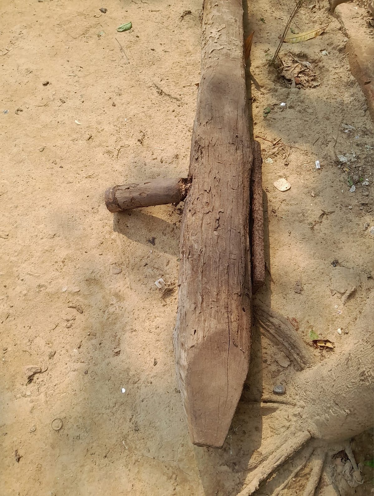 ঢেঁকি