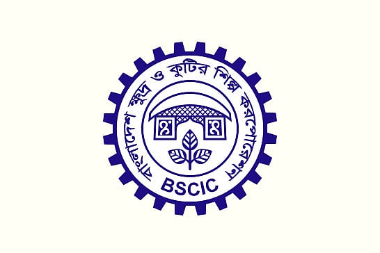 বিসিকের লোগো