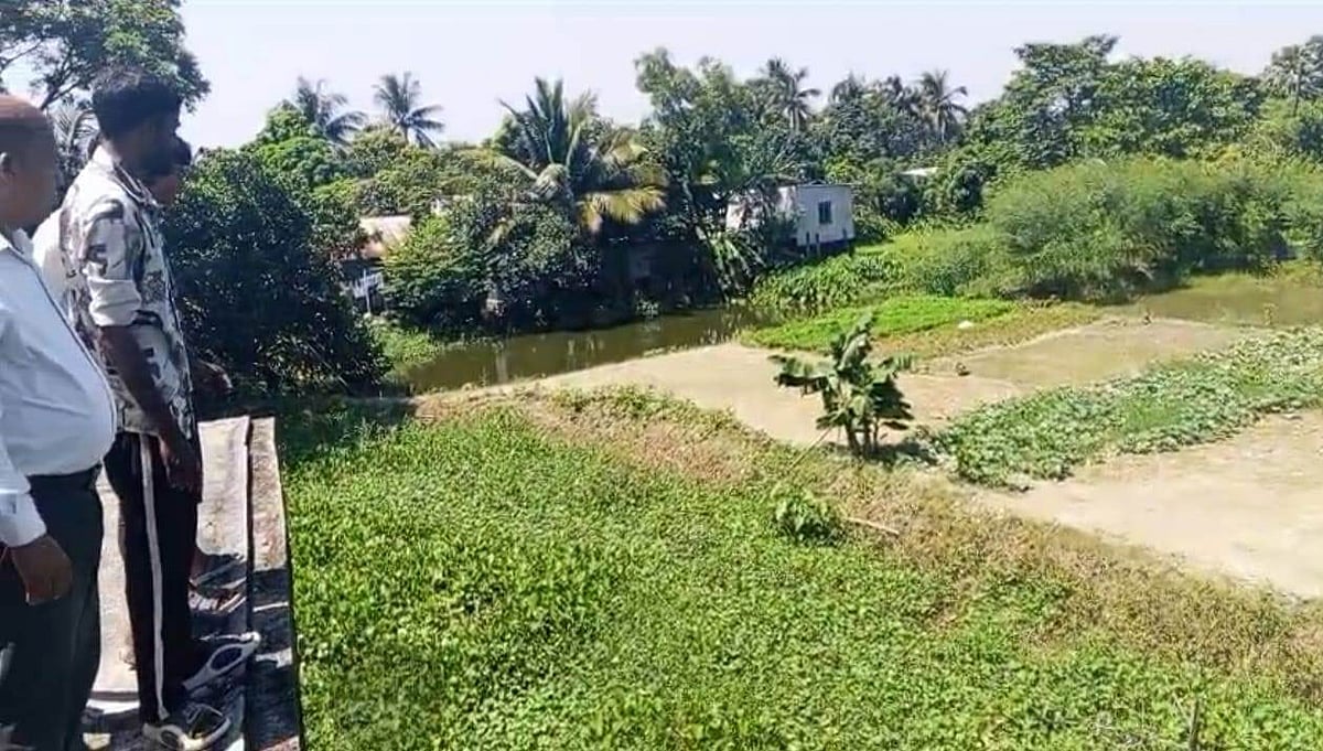 নারায়ণগঞ্জের বন্দর উপজেলায় লোকালয়ে কুমিরের দেখা পাওয়া গেছে। যে পুকুরে কুমিরটি অবস্থান করছে বলে ধারণা করা হচ্ছে, সেটি প্রায় এক একর আয়তনের। উপজেলার তিনগাঁও এলাকায়