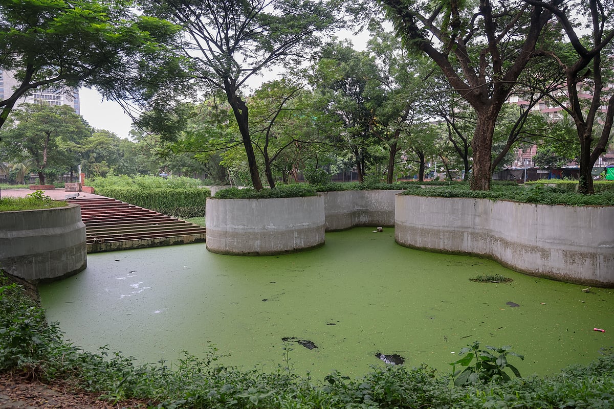 ओस्करी पार्क निर्माण की वजह से बदल रहा है