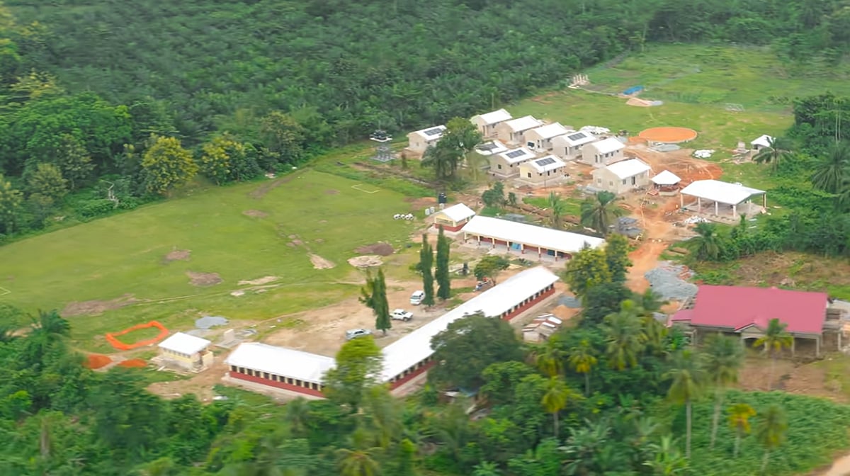 মিস্টার বিস্ট